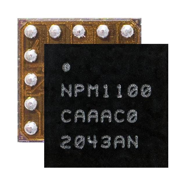 NPM1100-CAAA-E-R