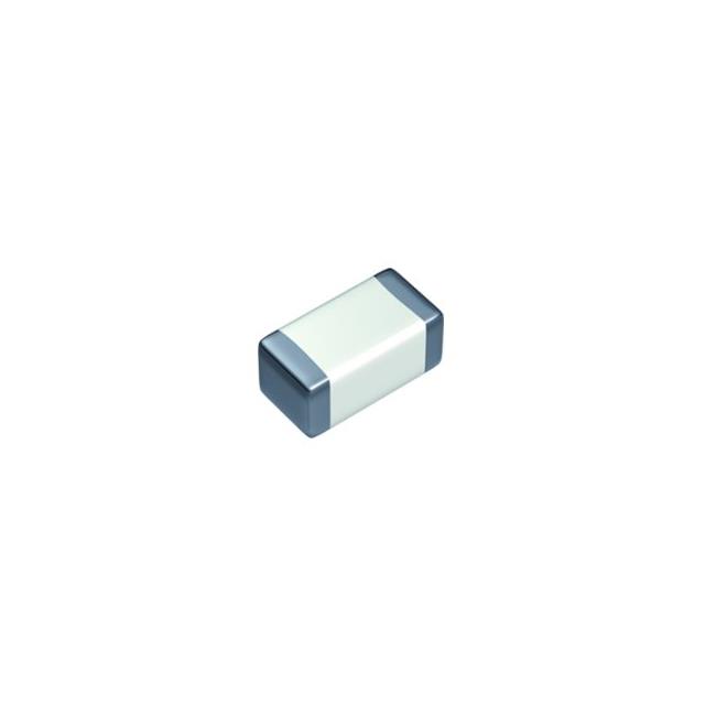 MSART042SCG7R1BWRA01