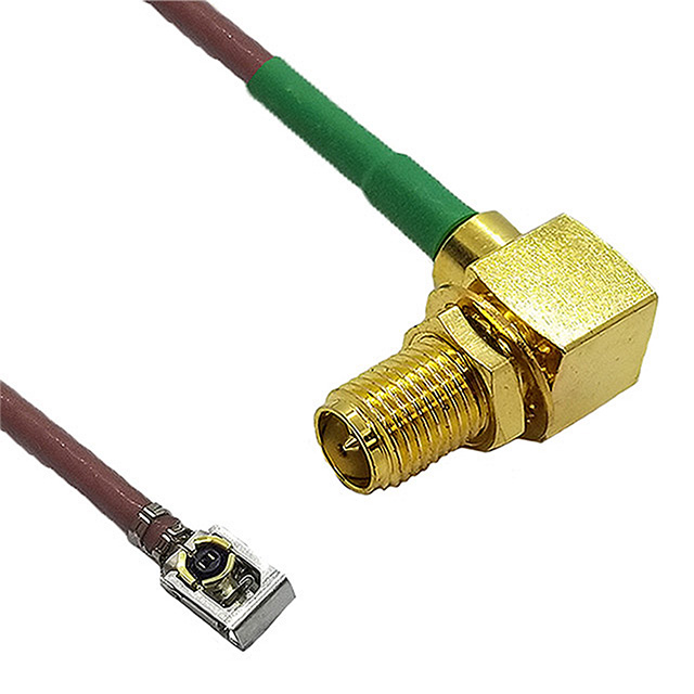 CBG-IPXLK-SALRF3GT-12IN