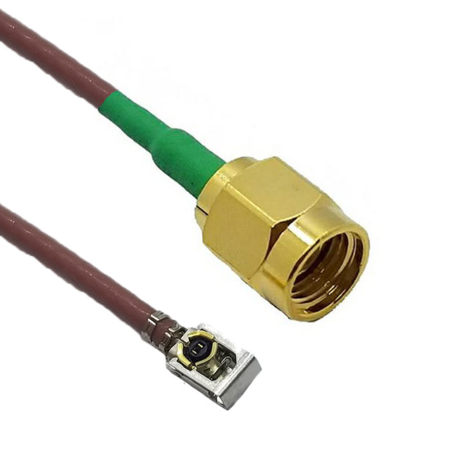 CBG-IPXLK-SARMGT-12IN
