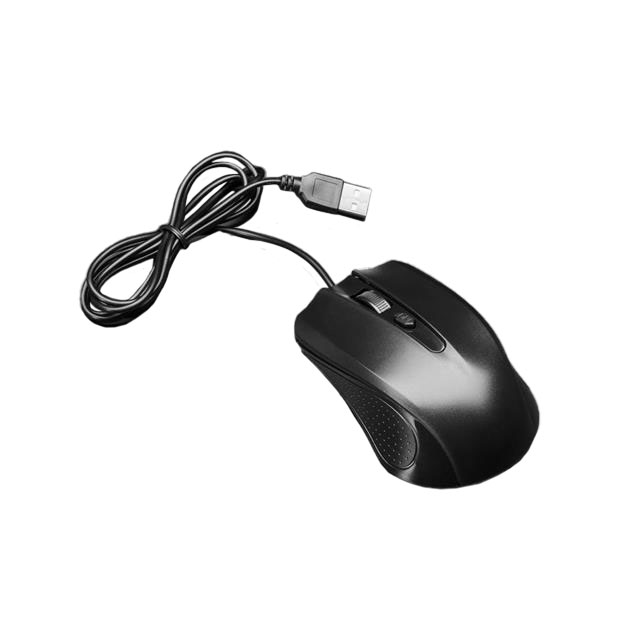 Computer Mouse, Trackballs