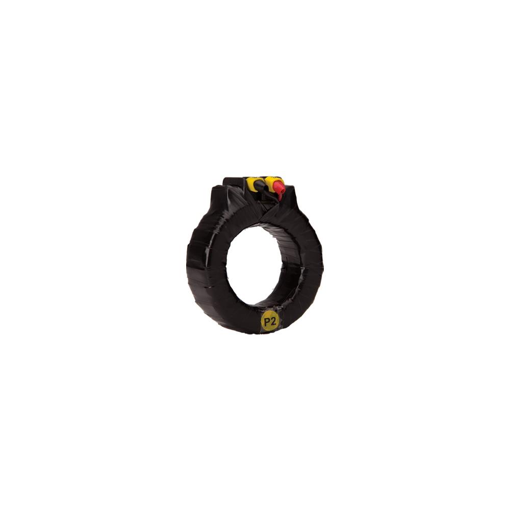 TWCT-T-D65 600/5A VA 5 CL 1 - Selec Controls