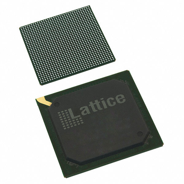 FPGAs (Field Programmable Gate Array)