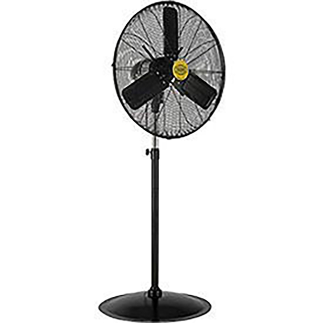 image of Fans