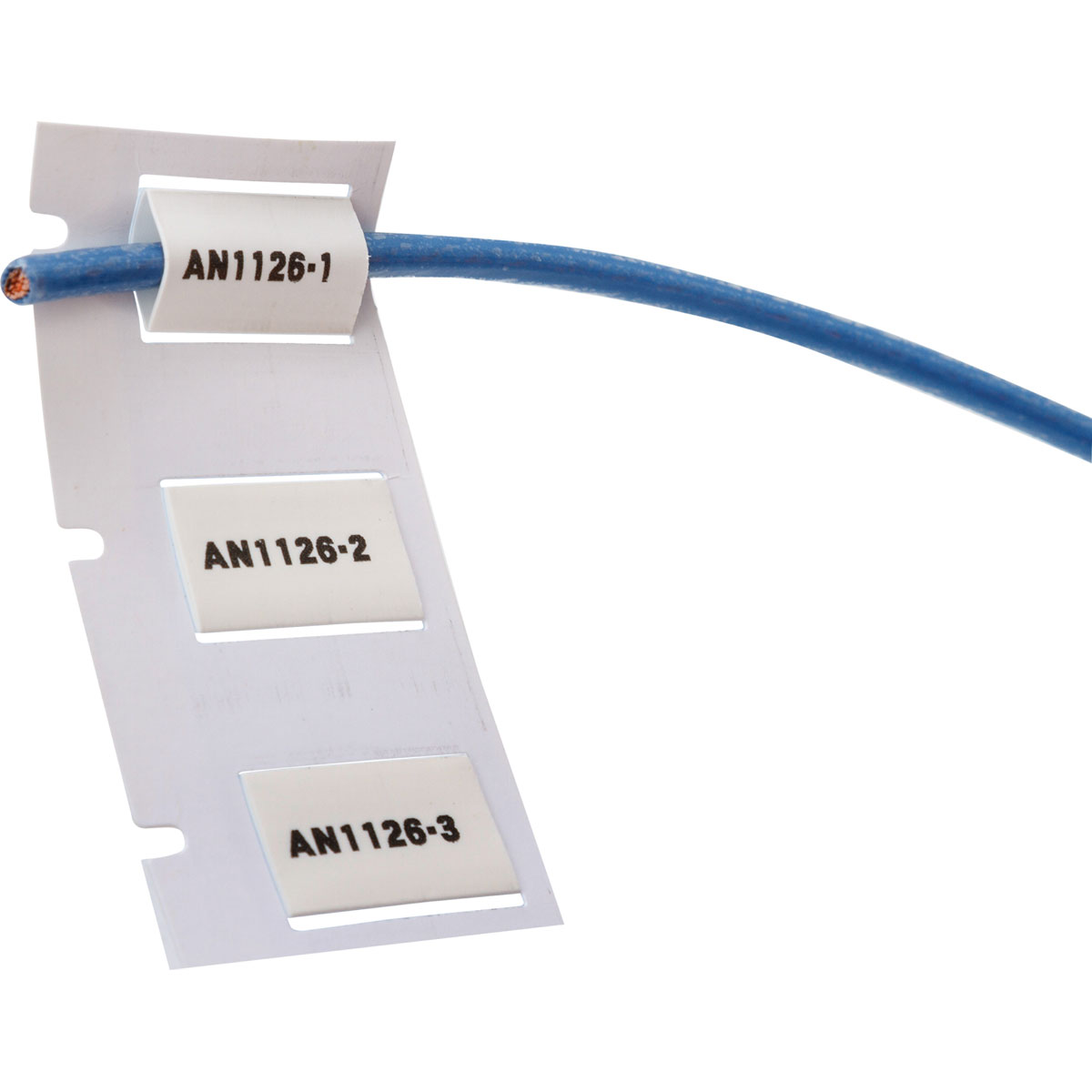 image of Labels, Labeling>PS-250-2-WT-S