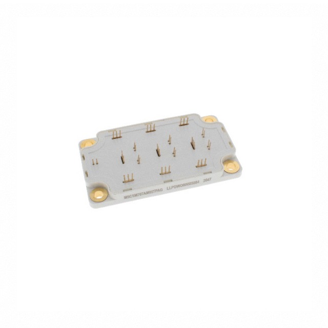 image of >Power Driver Module MOSFET 3 Phase Inverter 700 V 273 A Module>MSCSM70TAM05TPAG