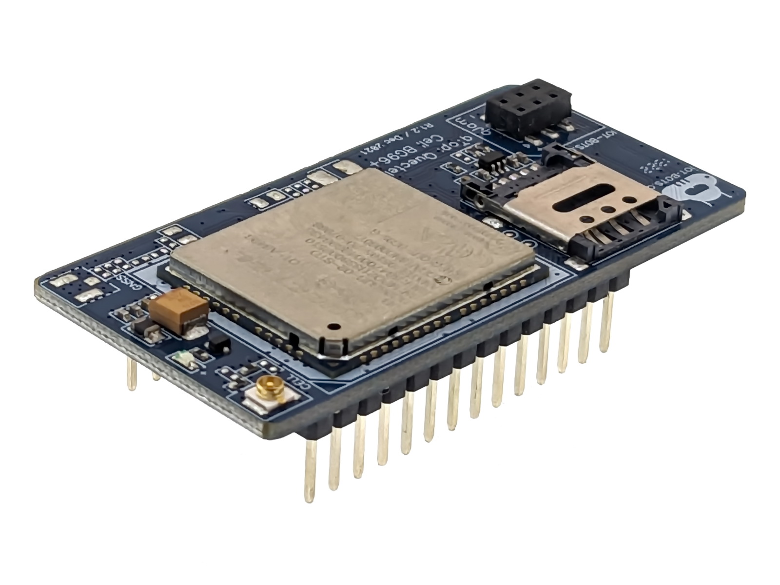 IBT-QTC-AMC-BC95