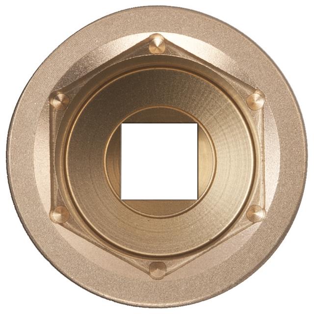 DWI-1/2D1