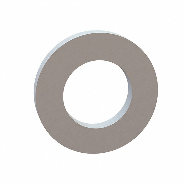 Standard Washers