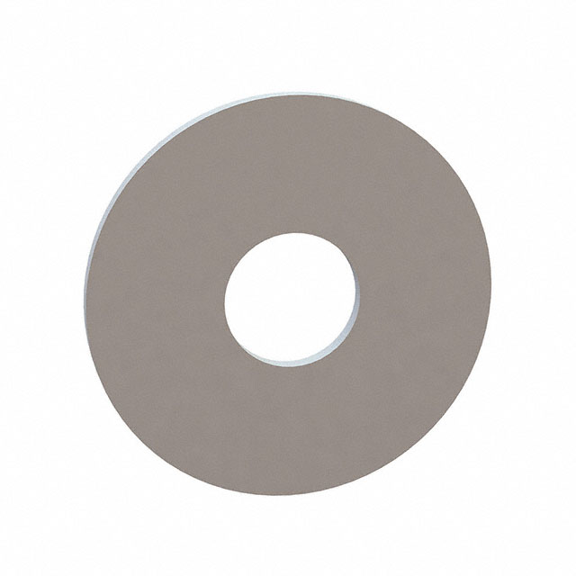 Standard Washers
