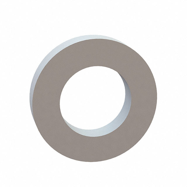 Standard Washers