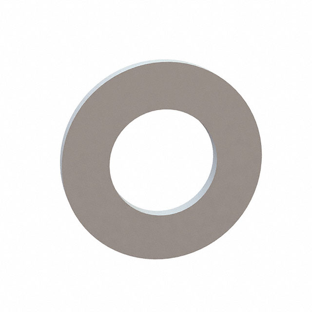 Standard Washers