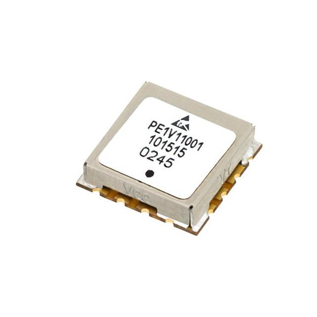 PE1V11001