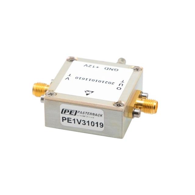 PE1V31019